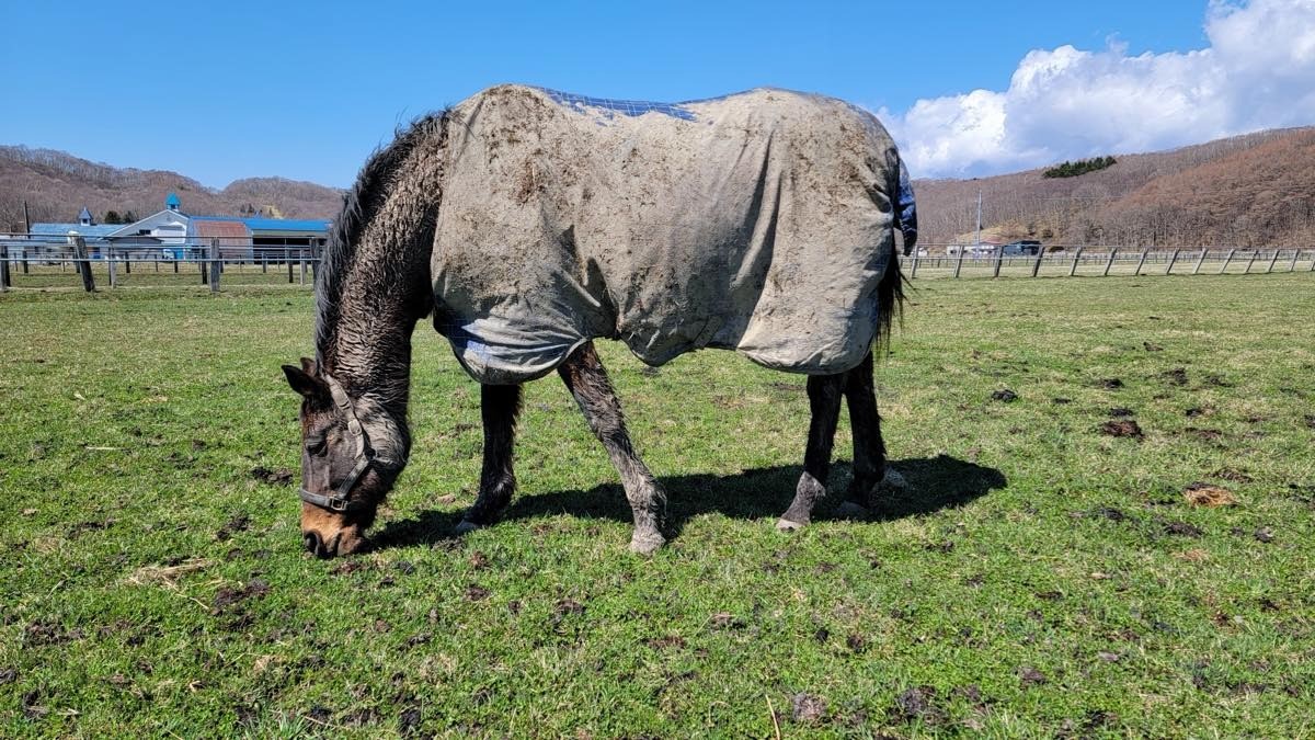 84f1a9dca31e9e62ab648f8e5b34fe07-1776210965.jpg 84f1a9dca31e9e62ab648f8e5b34fe07-1776210965.jpg